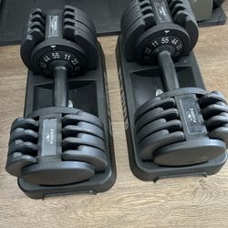 Adjustable Dumbbells Set (11-55 Lbs Each)