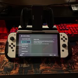 Nintendo Switch OLED w/ Grip Attachment