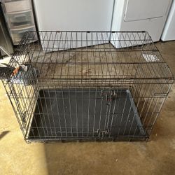 Dog Cage