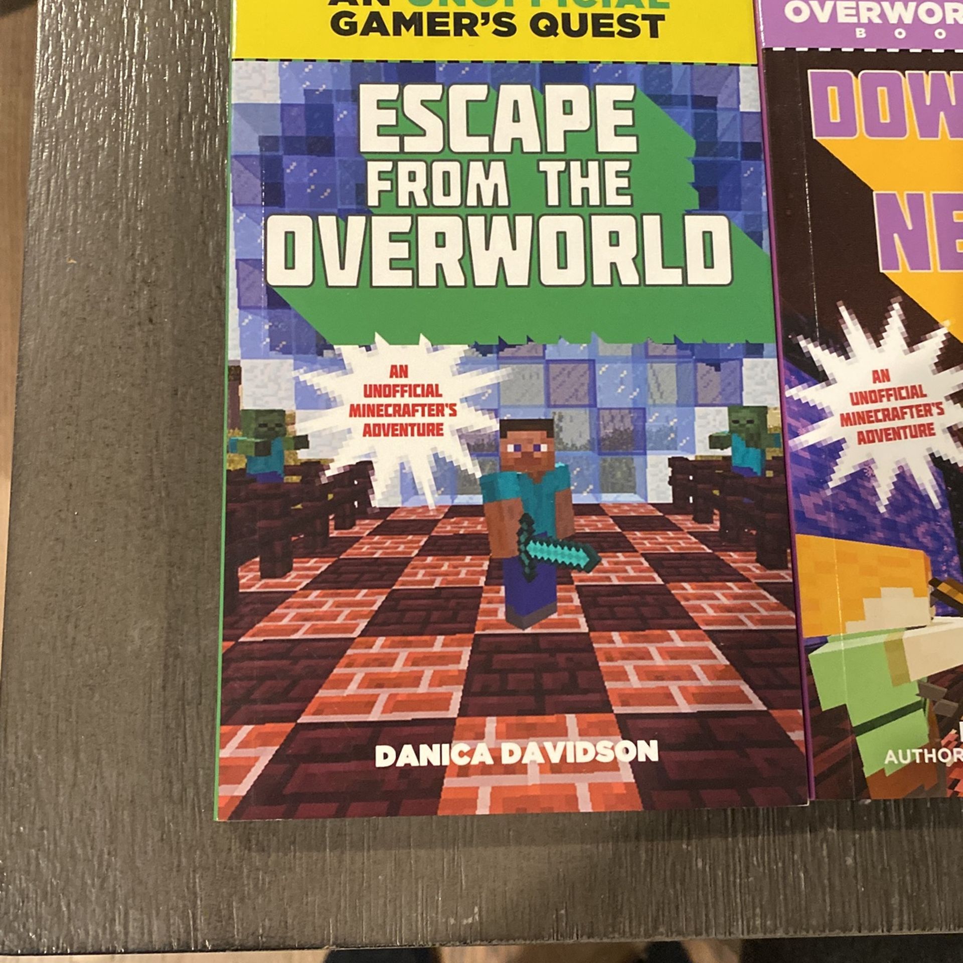 Minecraft Books