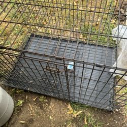 Kennel