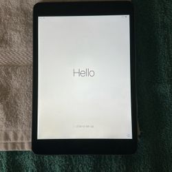 iPad Mini Locked