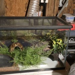 Reptile Tank