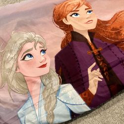 Twin Size Reversible Frozen Comforter 