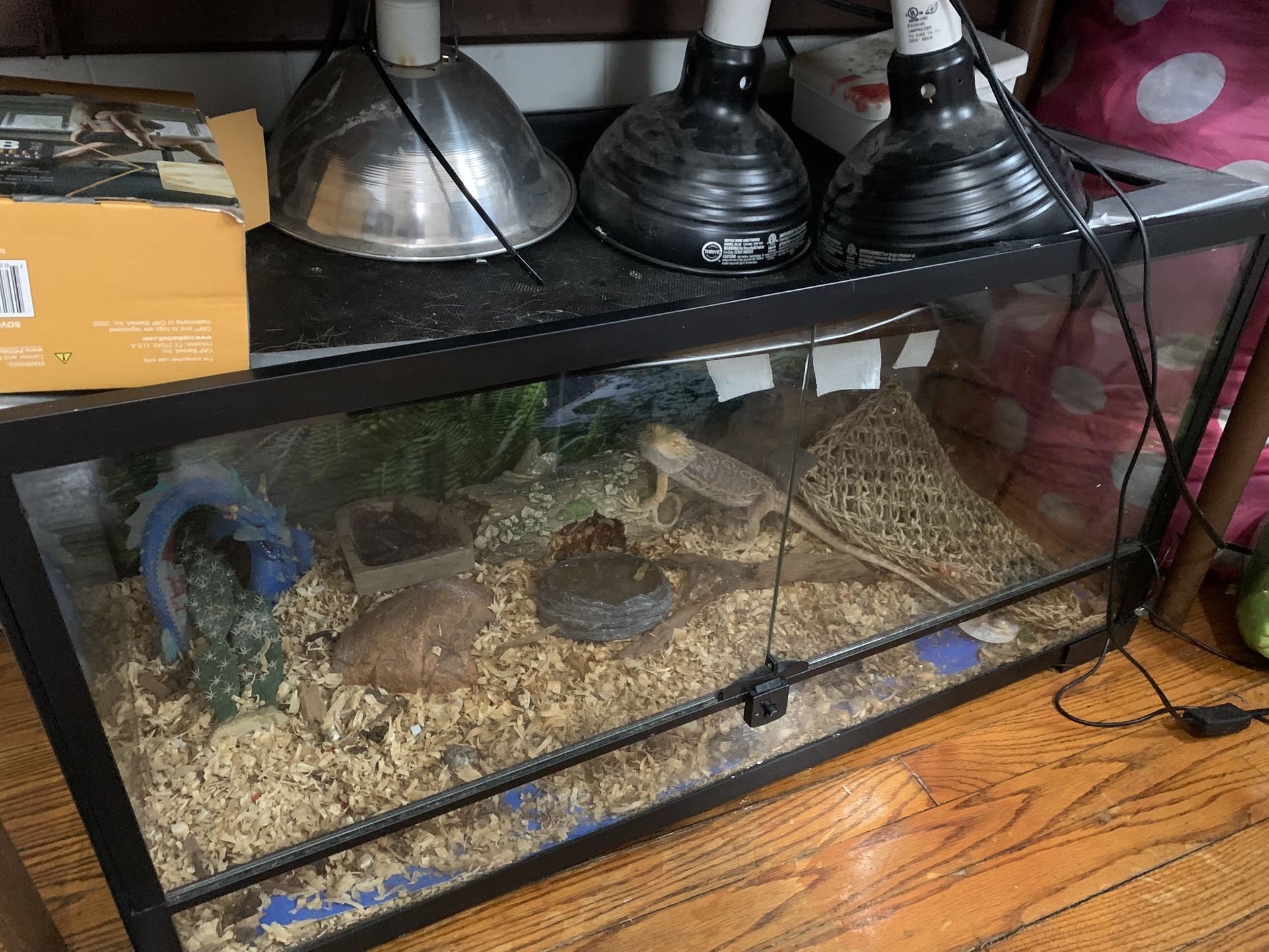 Reptile Tank