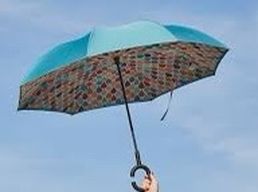 Dsw Umbrella