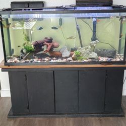 55gallon Fish Tank 