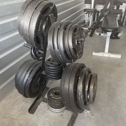 Weight & Benches