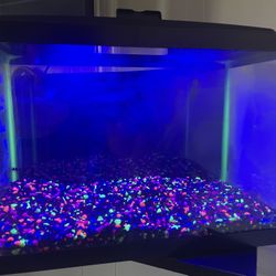 Fish Tank