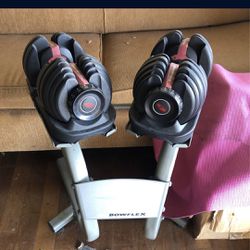 Bowflex Set With Stand