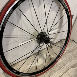 Bike Rear Wheel  10 Speed 