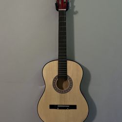 Acoustic Guitar