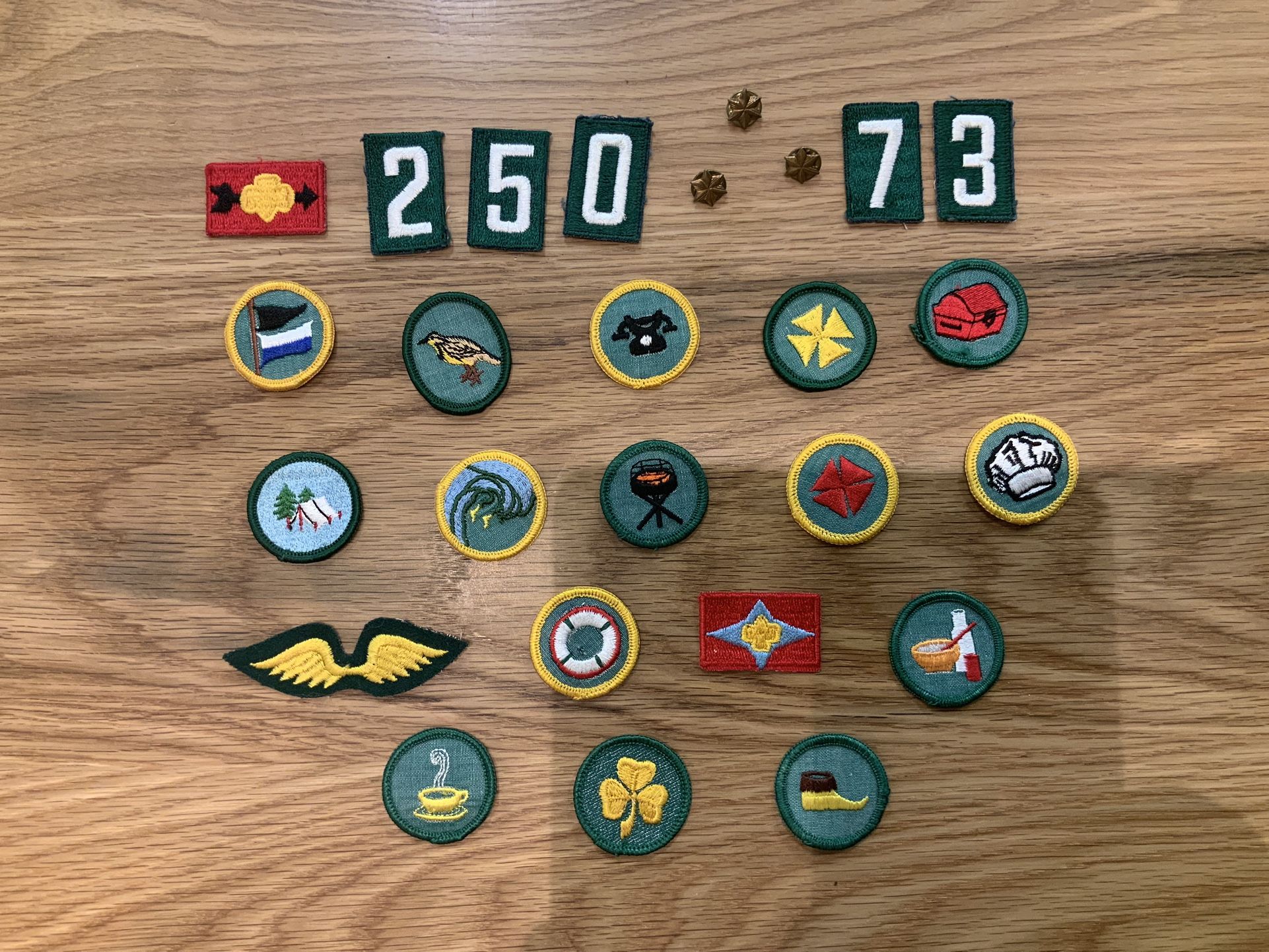 Girl Scout badges, Wings, Number + 3 Gold Star Pins. $50