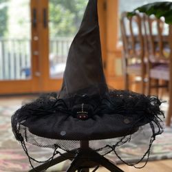 Witch Hat with Spider Web