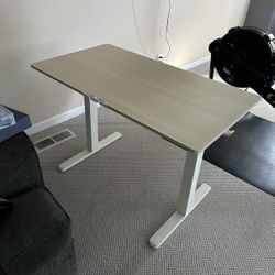32"  Electric Standing Desk Adjustable Height, 4 Memory Height Settings