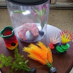 Fish Tank And Supplies