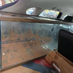 60 Gallon Reptile Tank