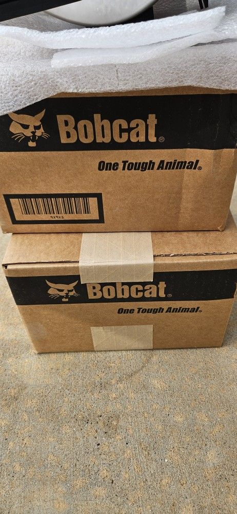 2, Bobcat Lights