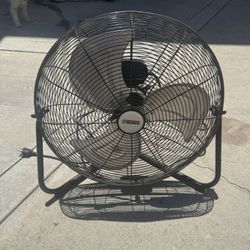 Fan