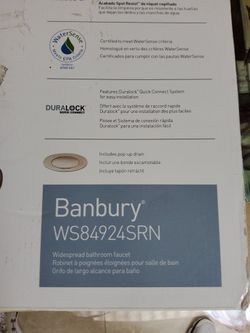 Moen Banbury - WS84924SRN This is a great buy half price