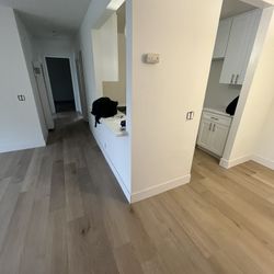 VINLY SPC FLOORING SALE LVT WOC LAMINATE FLOORS &1.39