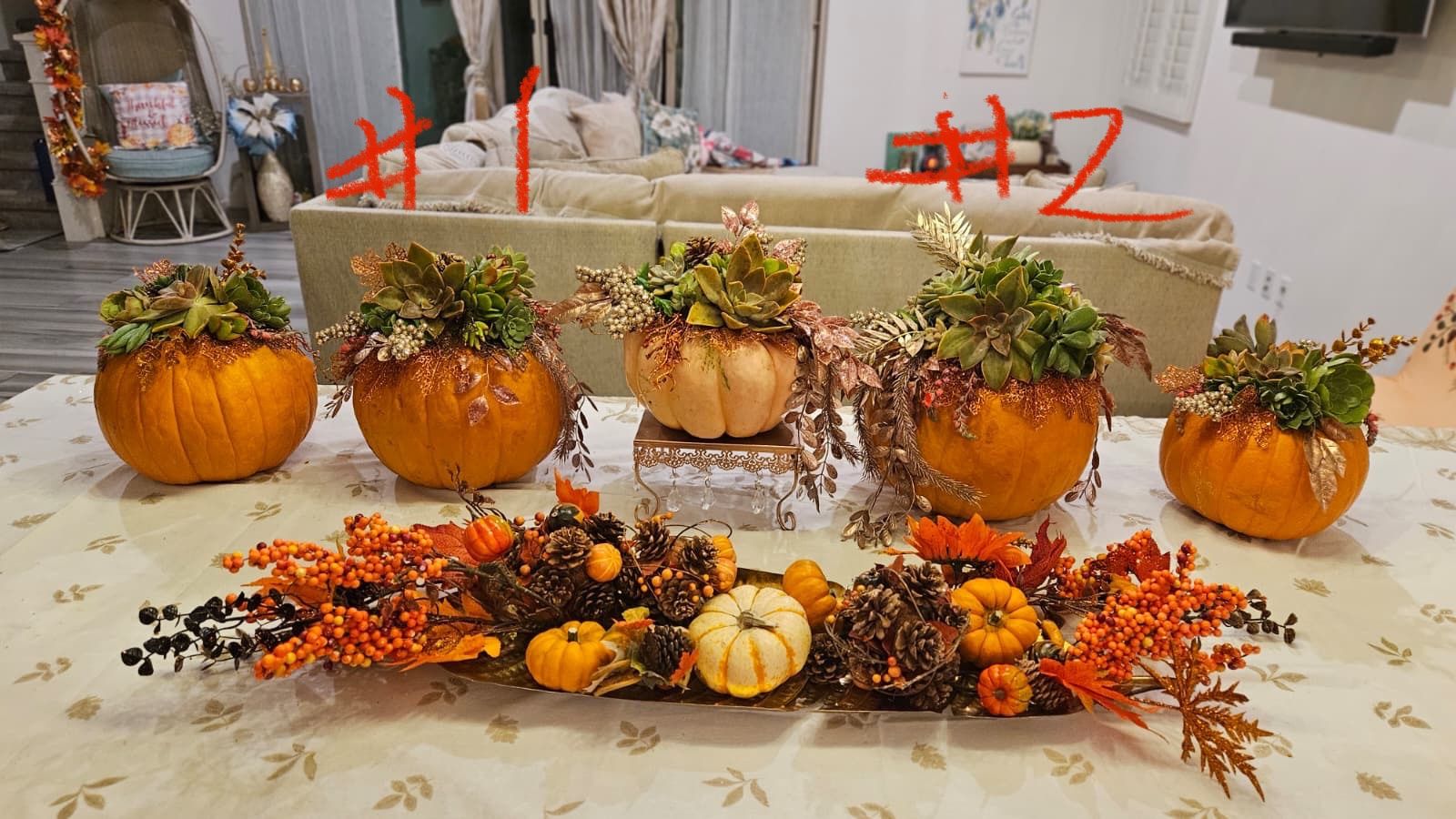 Succulent Pumpkins Arrangement