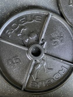 Rogue Fitness Arnold Schwarzenegger 45 LBs Weightlifting Plates - Garage Gym Hunter Certified 🎖️