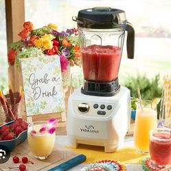 Licuadora Princess House 