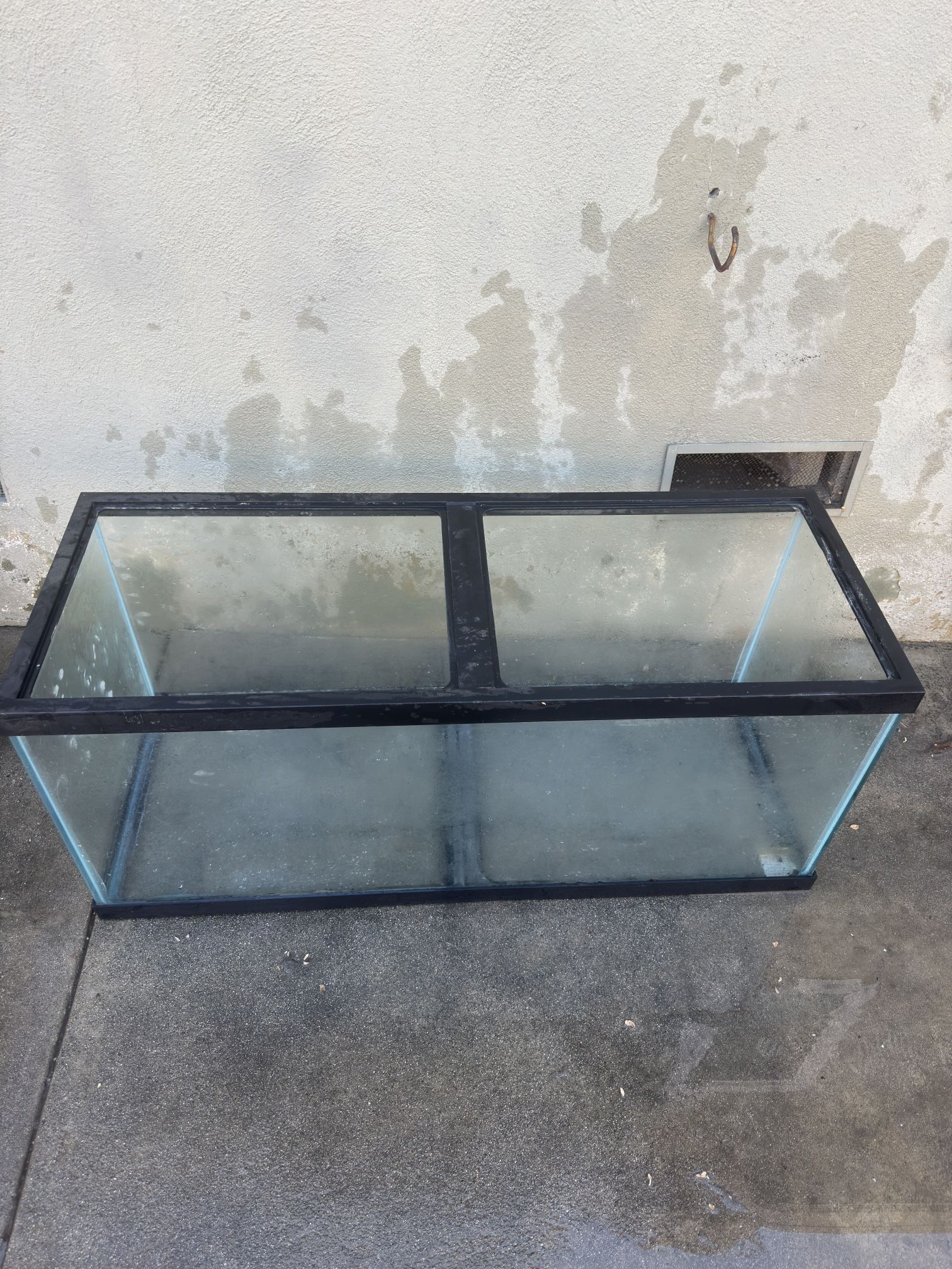 80 Gallon Fish Tank