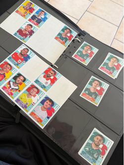 Panini stickers