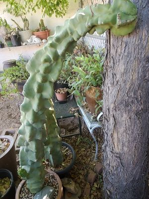 Tucson Az Toy Haulers For Sale Rv Trader