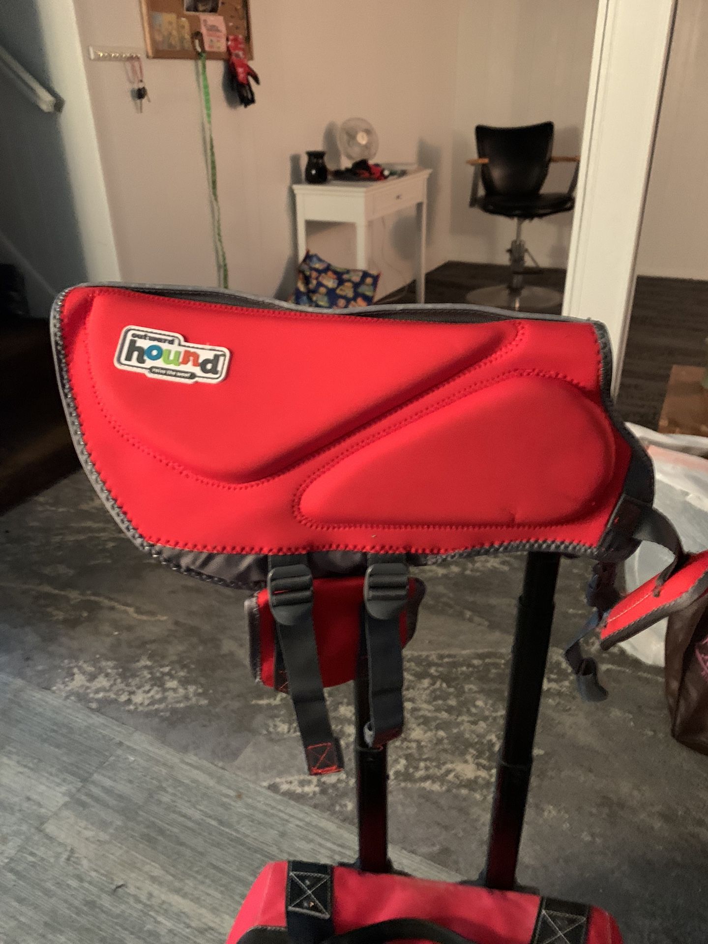 Dog Harness