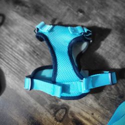 Cat Harness SMALL W/ Leash