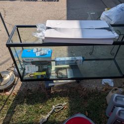 Fish Tank & Accessories 