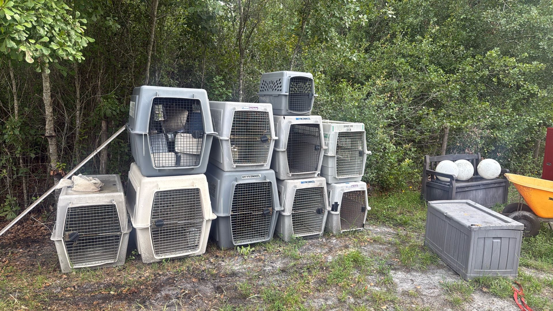 Dog Crates