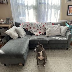 Couch and Accent Chair. Dog Not Included. 