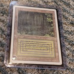 Magic The Gathering Revised Dual Lands Topical Island Bayou 