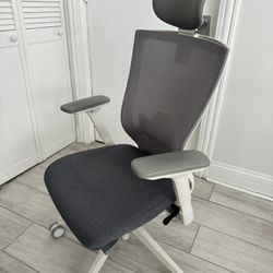 Ergonomic Office Chair - Customizable Headrest, Lumbar, Arms, and Seat, Ventilated Mesh Back (Gray)