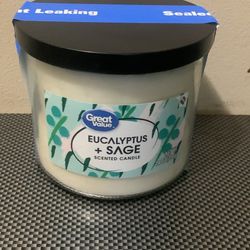 Eucalyptus +sage Scented Candle 