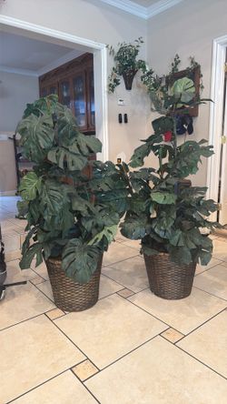 Plant set fake