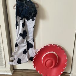 Toy Story Jessy Costume Halloween 