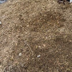 Horse Manure Organic Compost Free