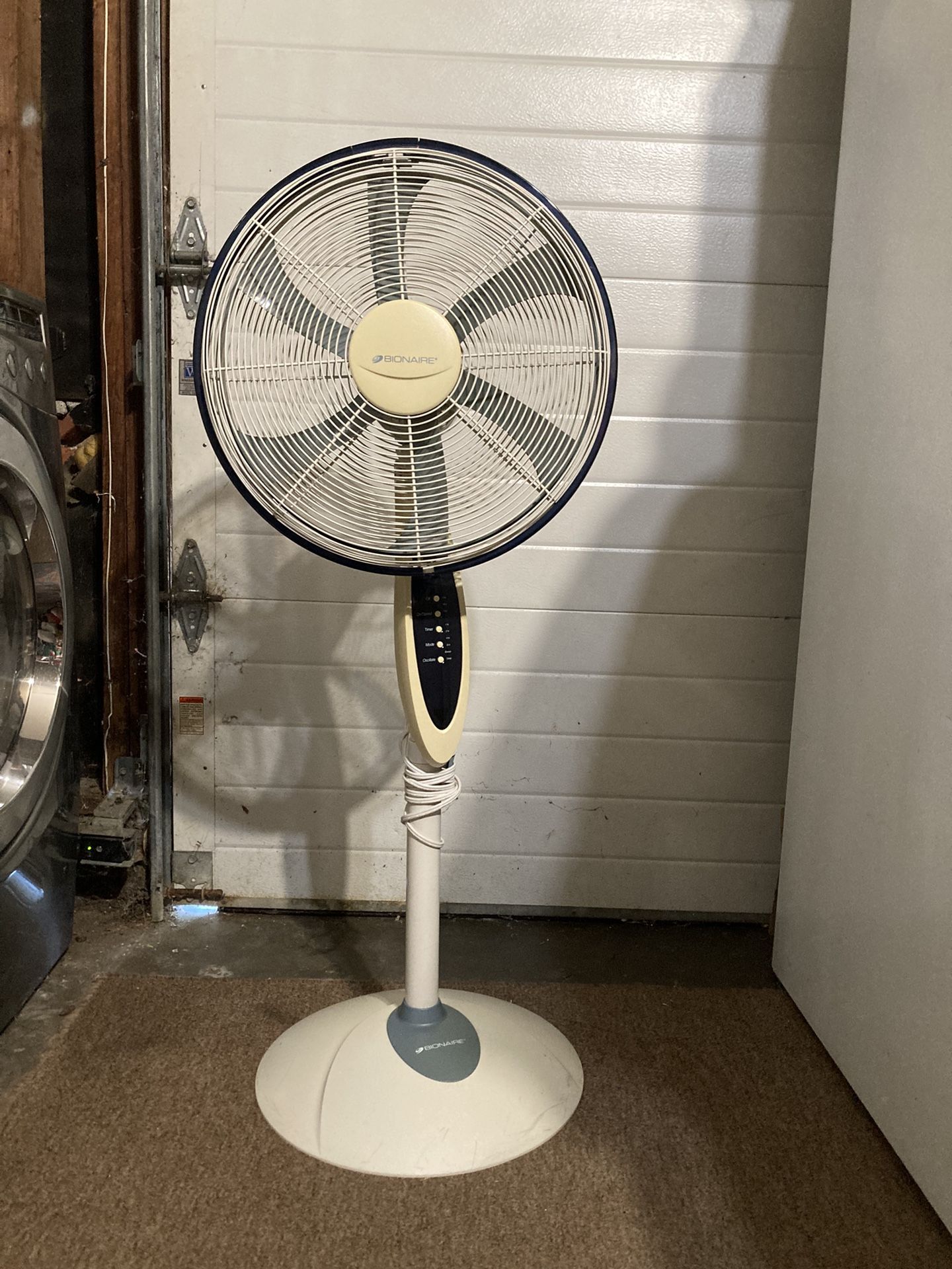 Stand Up Fan