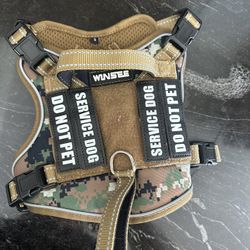 New Small Dog Harness 