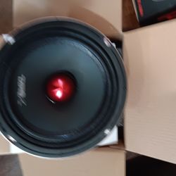 Ds18 Pro 6.5 Midrange Loudspeakers 