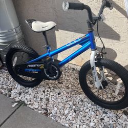 Freestyle Outdoor Kid's Bicycle, 16 in., Blue