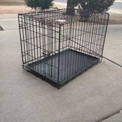 Kennel