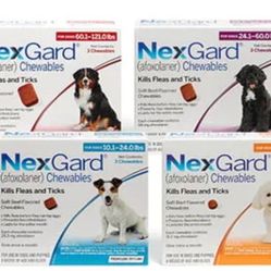 Nexguard For Dogs