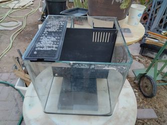 Small Aquarium 