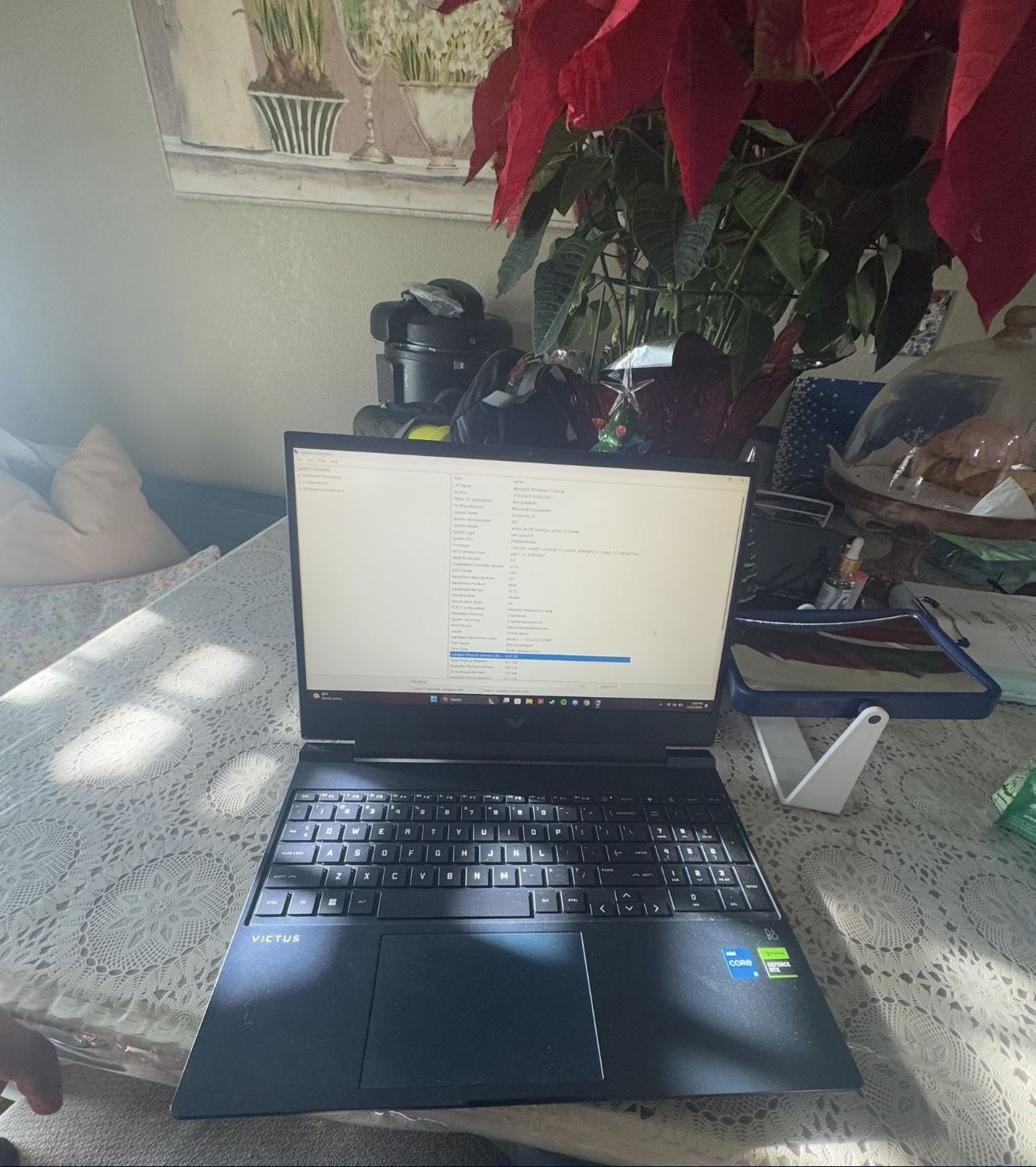 Victis Gaming Laptop, 3050